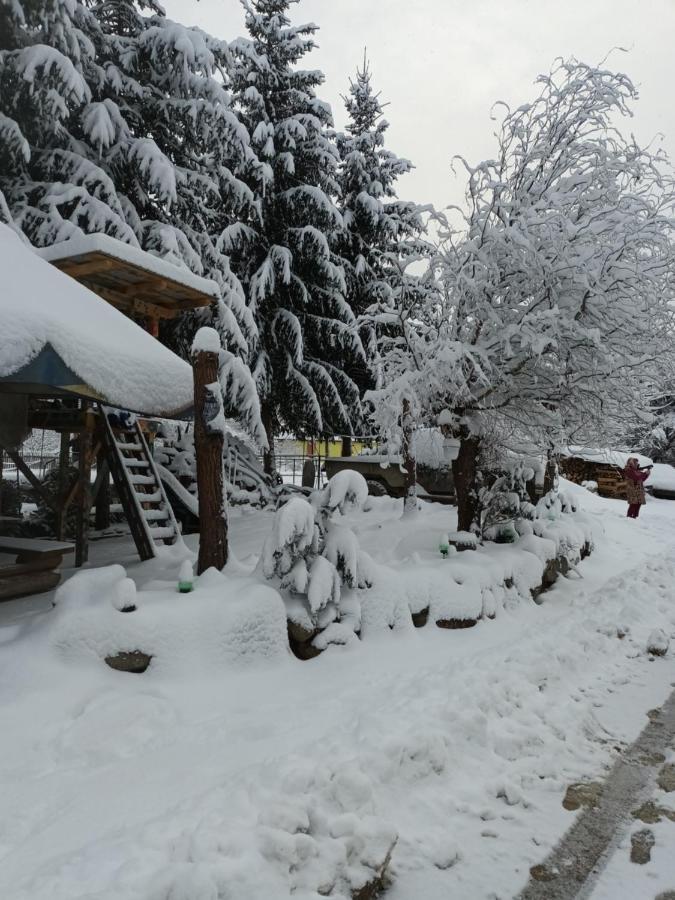 Cabana Micutu Vila Sebeş Exterior foto