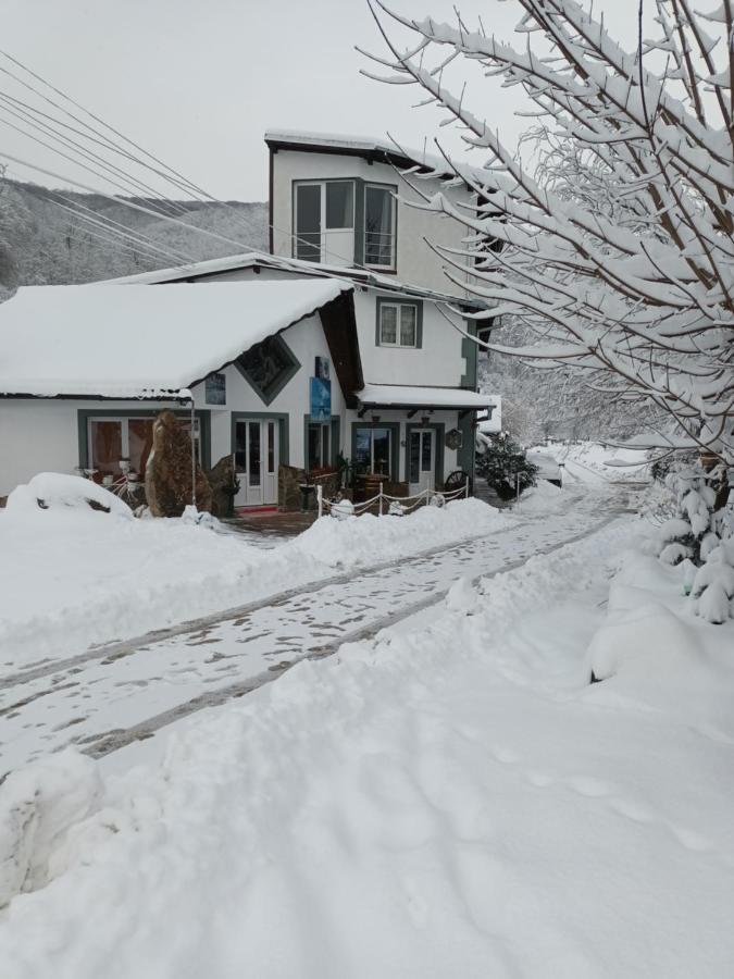 Cabana Micutu Vila Sebeş Exterior foto